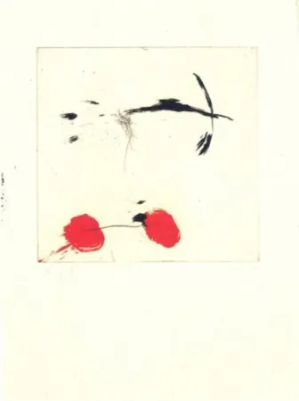 彫版 Riera I Aragó - Avió petit rodes vermelles