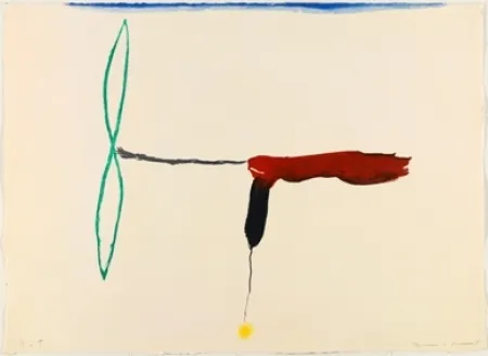 彫版 Riera I Aragó - Avión hélice verde