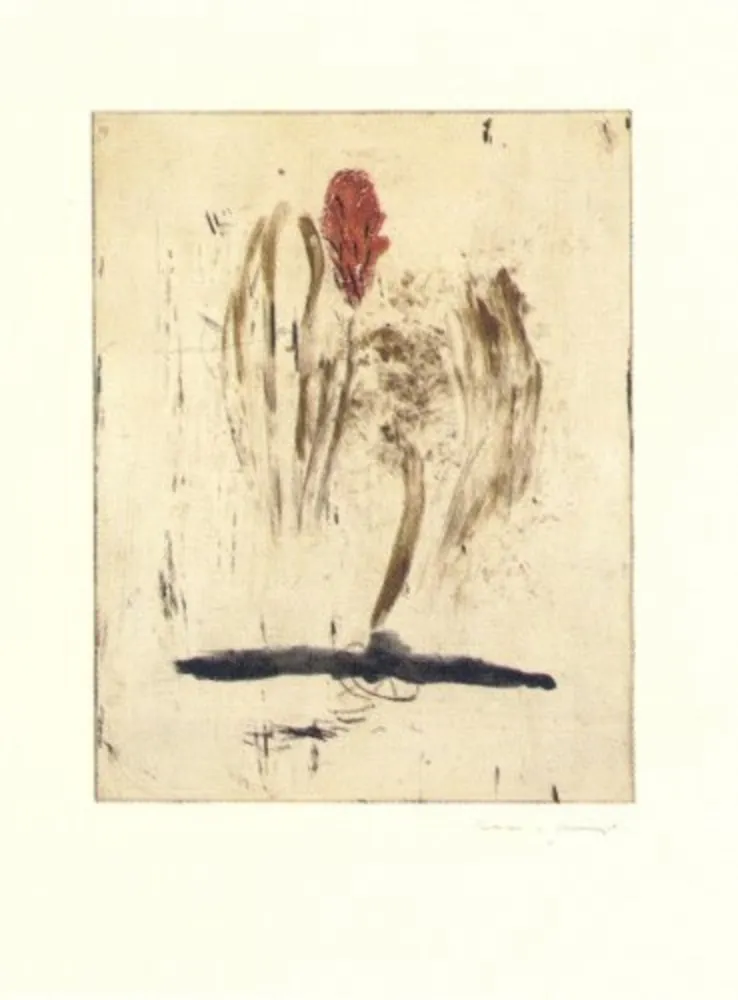 彫版 Riera I Aragó - Submarí i ala