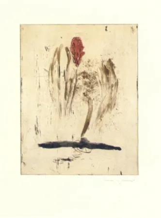 彫版 Riera I Aragó - Submarí i ala