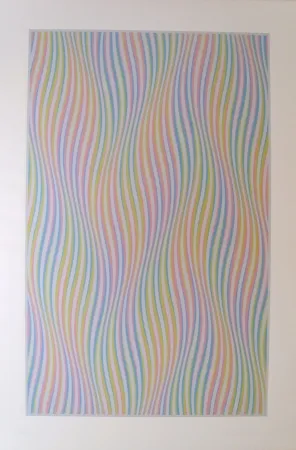 シルクスクリーン Riley - Elapse