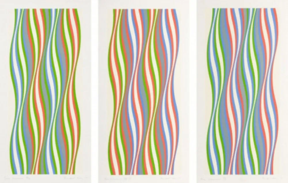 シルクスクリーン Riley - Green Dominance, Blue Dominance, Red Dominance (set of 3)