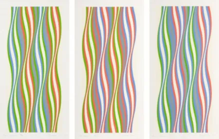 シルクスクリーン Riley - Green Dominance, Blue Dominance, Red Dominance (set of 3)