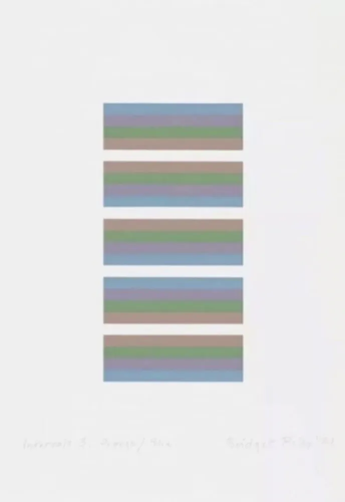 シルクスクリーン Riley - Intervals 3 - Orange / Blue