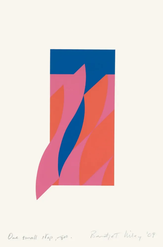 シルクスクリーン Riley - One small step