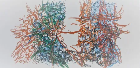 リトグラフ Riopelle - Album #7 Cat. No. 221