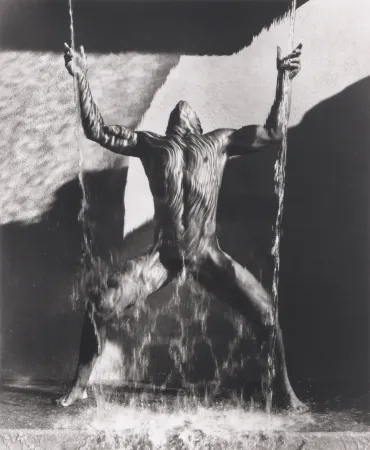 写真 Ritts - Waterfall II, Hollywood