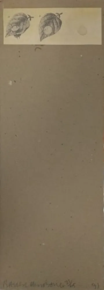 多数の Robert - Shirtboards Morocco, Italy