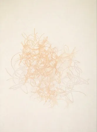 エッチングと　アクチアント Rodriguez Caballero - 08.Octubre.2017