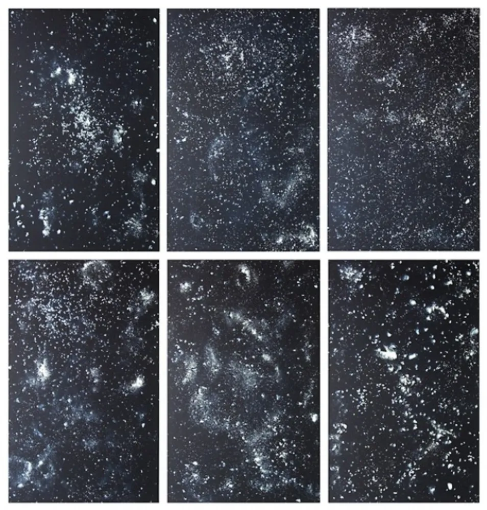 リトグラフ Rondinone - Stars, portfolio