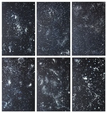 リトグラフ Rondinone - Stars, portfolio