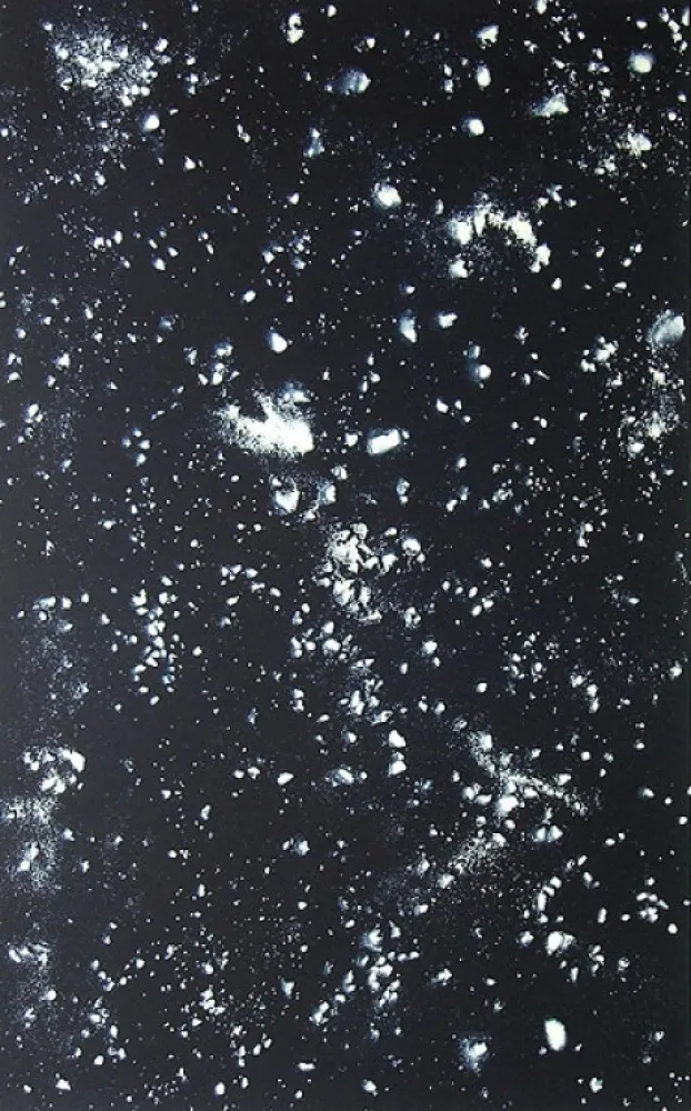 リトグラフ Rondinone - Stars, Sheet 1