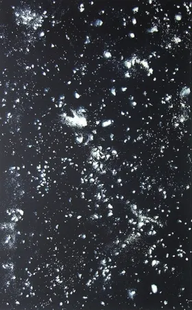 リトグラフ Rondinone - Stars, Sheet 1