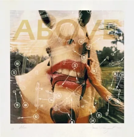 リトグラフ Rosenquist - Above