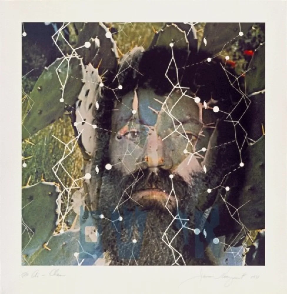 リトグラフ Rosenquist - The