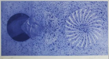 エッチングと　アクチアント Rosenquist - The Book Disappears for the Fast Student 2nd State