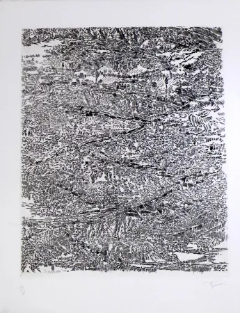 エッチングと　アクチアント Rouan  - Arena