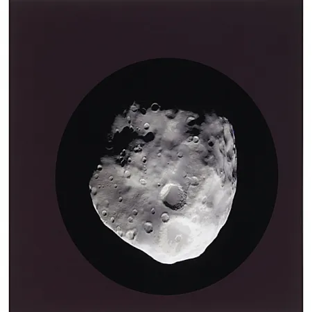 リトグラフ Ruff - Epimetheus