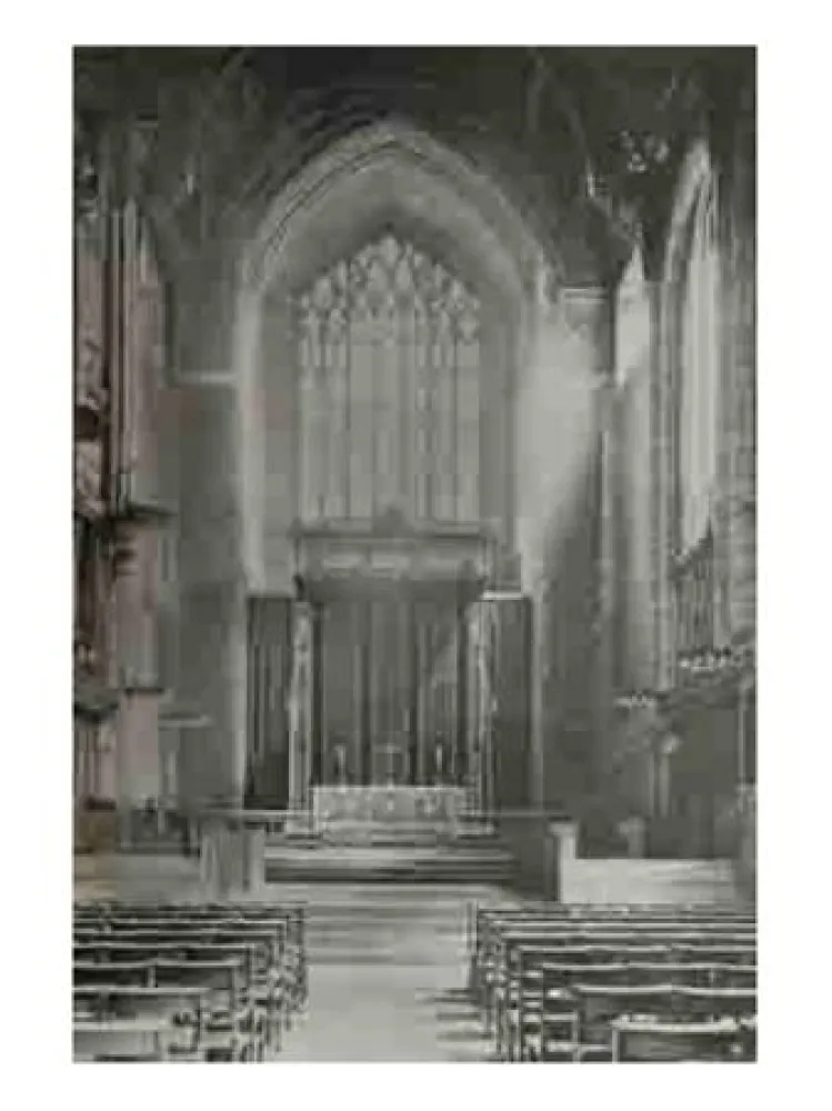 多数の Ruff - Jpegs 2006