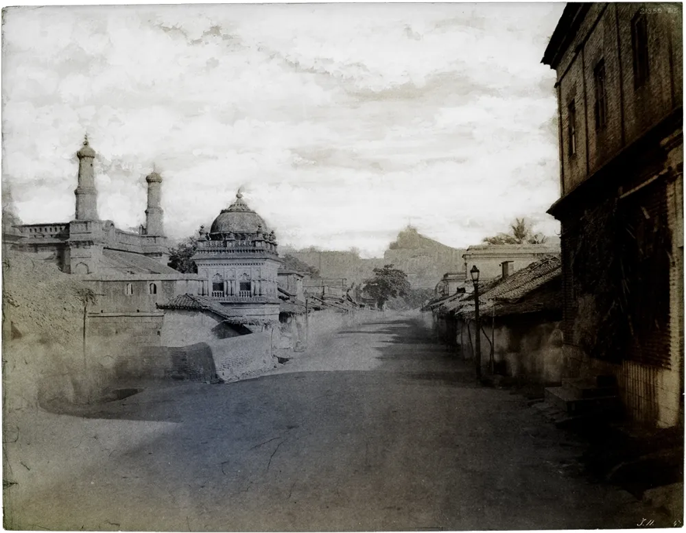 技術的なありません Ruff - Trichinopoly