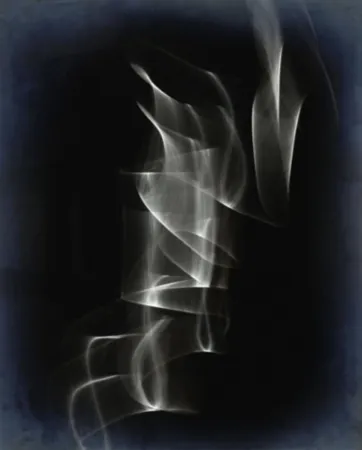 写真 Ruff - Untitled #01