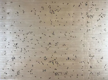シルクスクリーン Ruscha - Black Ants from the Insects Portfolio