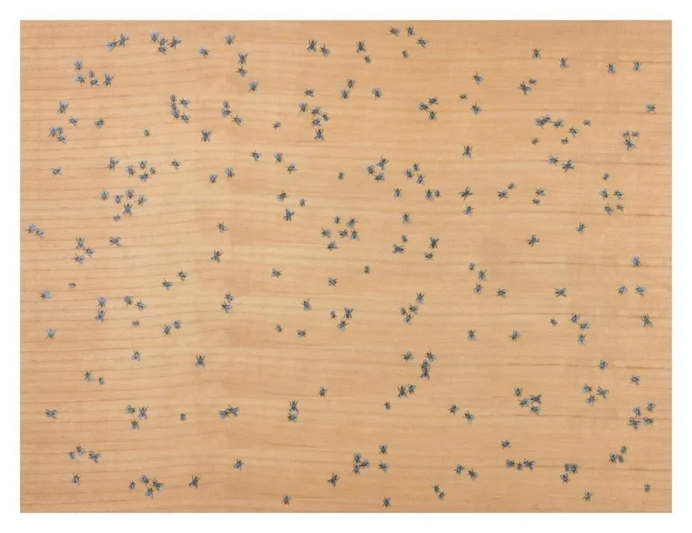 多数の Ruscha - Flies