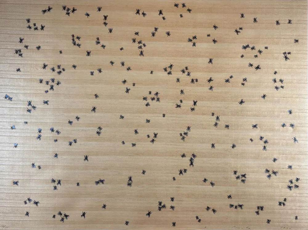 シルクスクリーン Ruscha - Flies from the Insects Portfolio