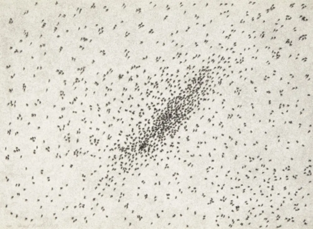 多数の Ruscha - Insect Slant (Ants) (from Reality & Paradoxes)