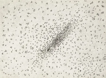 多数の Ruscha - Insect Slant (Ants) (from Reality & Paradoxes)