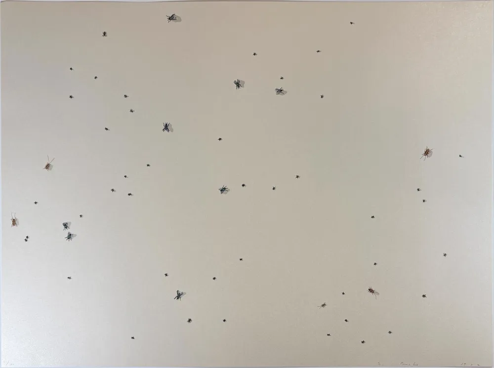 シルクスクリーン Ruscha - Pearl Dust Combination from the Insects Portfolio