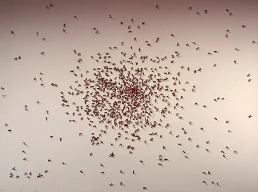 シルクスクリーン Ruscha - Swarm of Red Ants from the Insects Portfolio