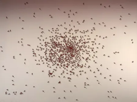 シルクスクリーン Ruscha - Swarm of Red Ants from the Insects Portfolio