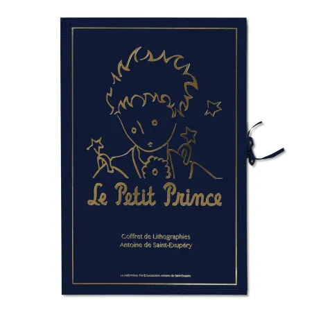 リトグラフ Saint-Exupéry - Portfolio 12 Lithographies 