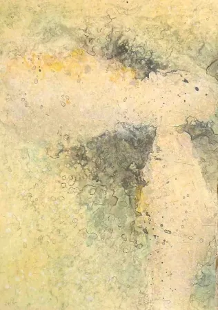 彫版 Salinas - Dalet I