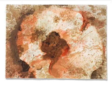 彫版 Salinas - Hongo