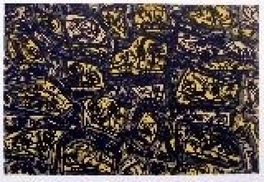 リトグラフ Saura - Kafka 4