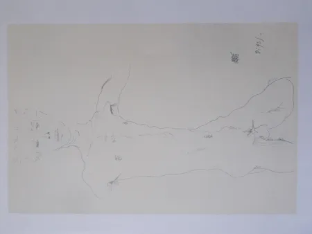 リトグラフ Schiele - Standing male nude