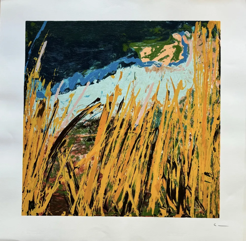 リトグラフ Schifano - Mario Schifano (1934–1998) - Campi da terra - Enamel screen printing - 1990