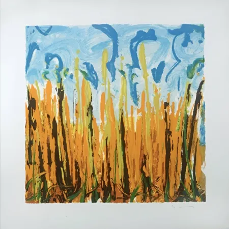 シルクスクリーン Schifano - Mario Schifano (1934–1998) – Campo Basso – Enamel screen printing, 29-colour printing on Magnani di Pescia paper – 1988