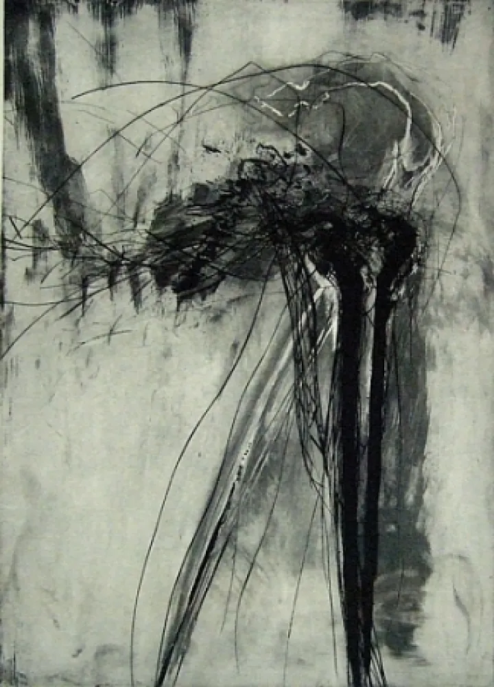 ポイントーセッシュ Schober - Richiamo