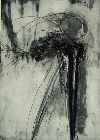 ポイントーセッシュ Schober - Richiamo