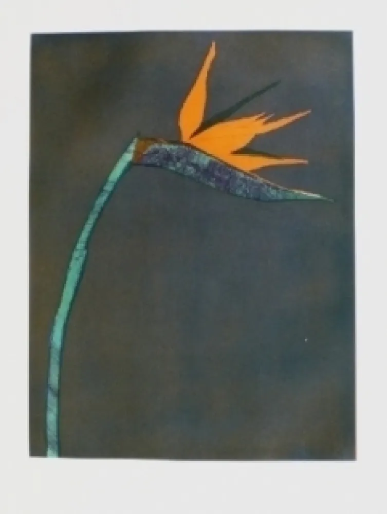 彫版 Scholder - Flower at Barcelona