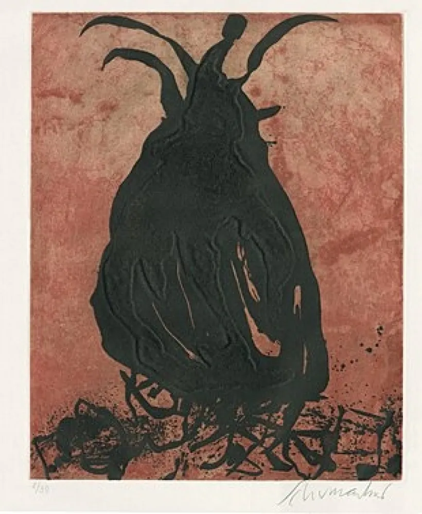 エッチングと　アクチアント Schumacher - 