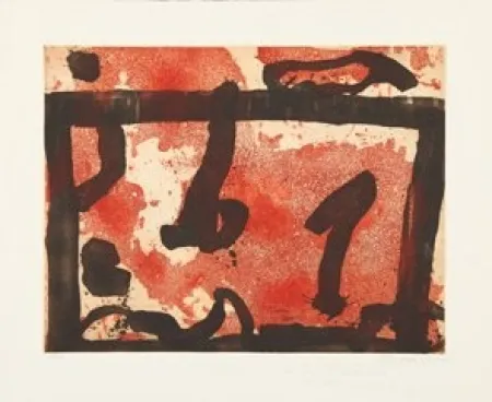 エッチングと　アクチアント Schumacher - 