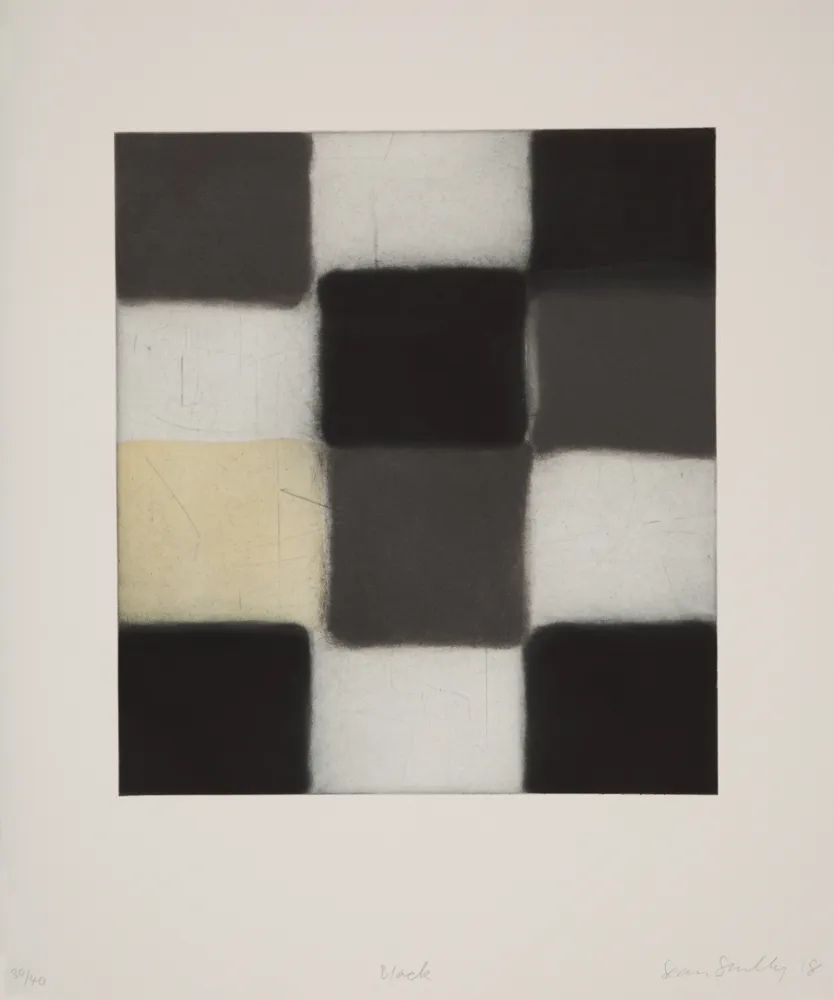 アクチアント Scully - 