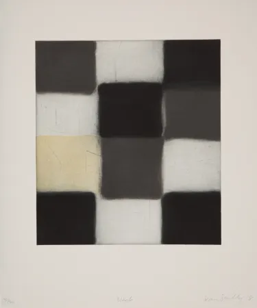 アクチアント Scully - 