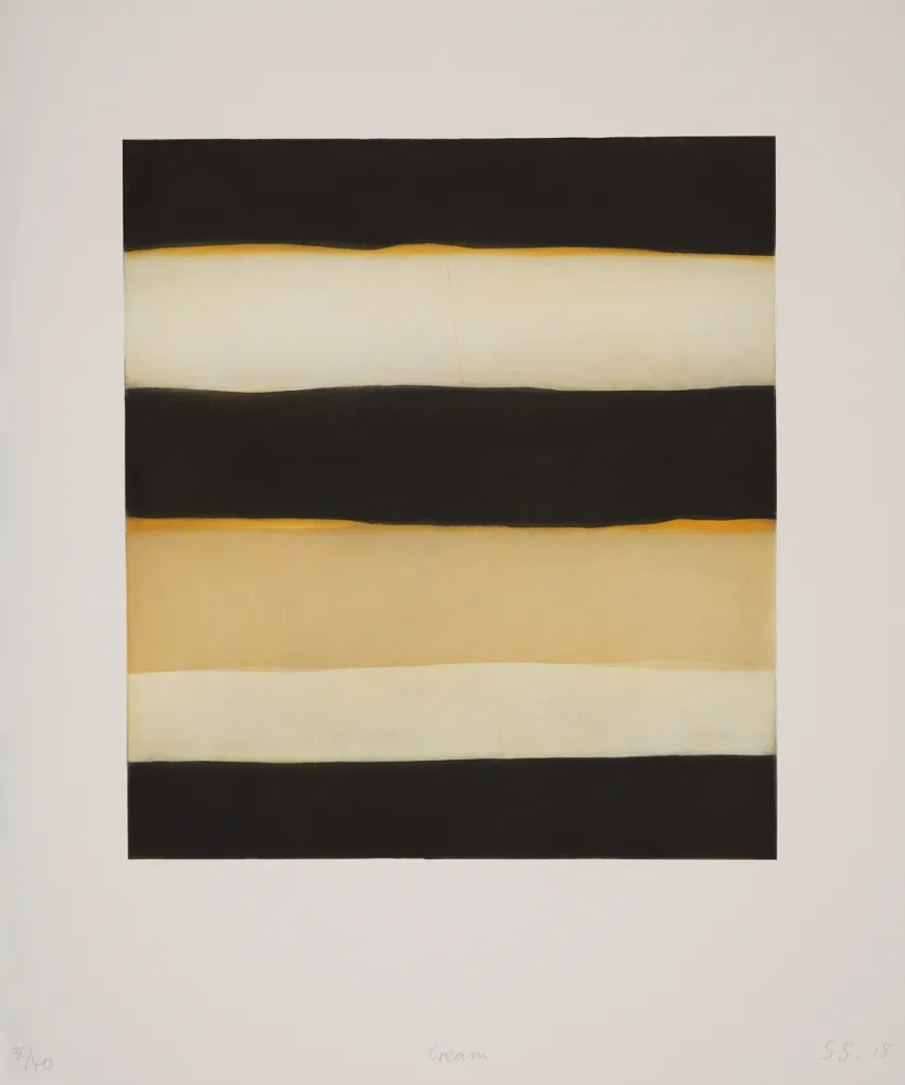 アクチアント Scully - 