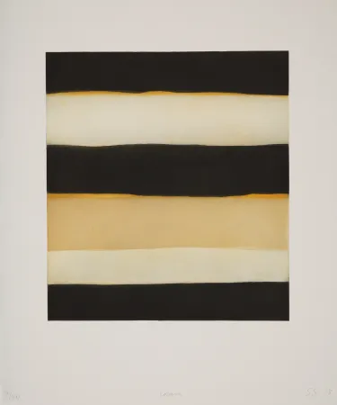 アクチアント Scully - 