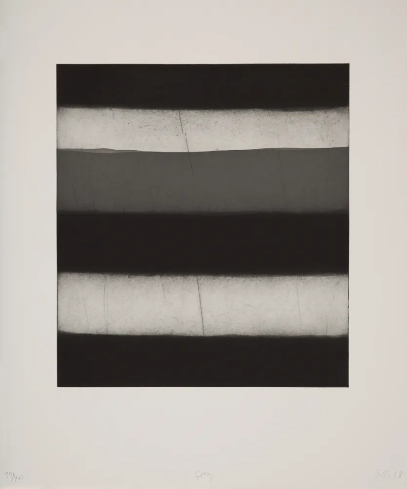 アクチアント Scully - 